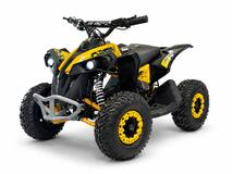 Avenger 1060W48V ATV 3EB
