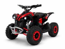 Avenger 1060W48V ATV 3EB