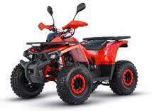 Tao shark 125cc