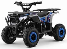 Premium Warrior 1000w 36V sinine