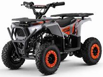 Premium Warrior 1000w 36V oranž