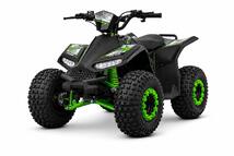 Elektriline ATV 1200w Shaft