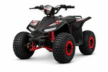 Elektriline ATV 1200w Shaft