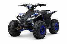 Elektriline ATV 1200w Shaft