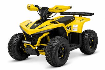 E-Hawk 1600