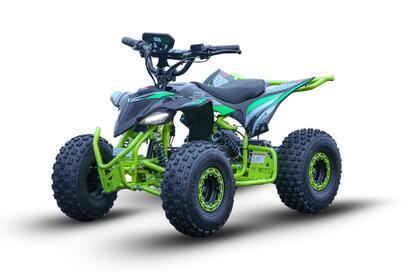 Falcon 800w 36v 12AH