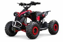 Avenger 1200W ATV-EC
