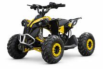 Avenger 1200W ATV-EC