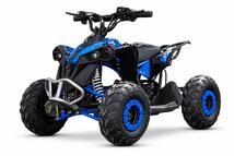 Avenger 1200W ATV-EC