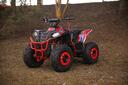 Premium RFZ Commander 110cc v2