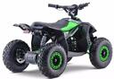 Elektrimootoriga ATV Ranger 11EA 1000W 36V