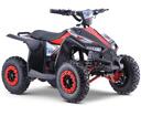 Elektrimootoriga ATV Ranger 11EA 1000W 36V