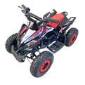 2025a MUDEL Premium Spider 1000W 36v