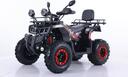 Zanluer 250