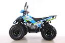 Premium Coyote 125cc Sinine