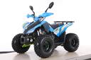 Premium Coyote 125cc Sinine