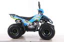 Premium Coyote 125cc Sinine