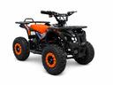 Premium Tiger 1000w 36v