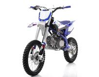 Premium Thunder 140cc Sinine