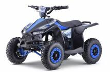 Elektrimootoriga ATV Ranger 11EA 1000W 36V