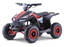 Elektrimootoriga ATV Ranger 11EA 1000W 36V