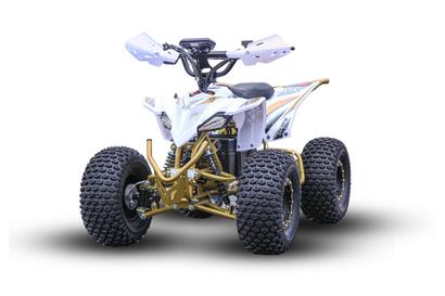 Premium Falcon 800w 36v 20AH