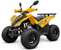 Premium Coyote 125cc