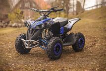 Elektrimootoriga 1000W ATV-3EA